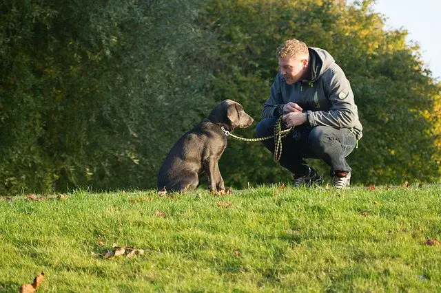 Man with Domesticated dog