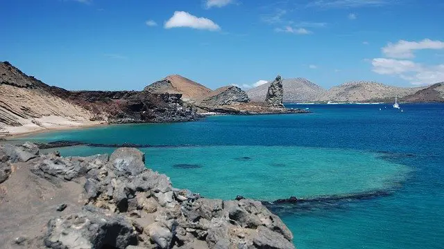 The Galapagos