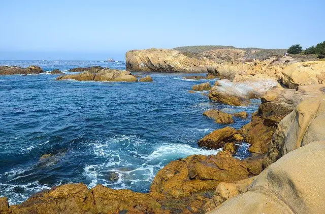 Point Lobos 