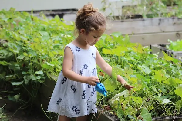 Girl gardening