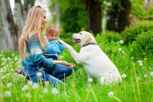 Dog with Owner and Baby