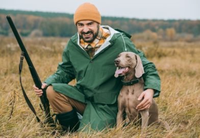 hunting dog and man with a rifle