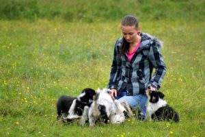 puppies and womans