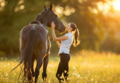 Is Your Horse In Good Health How To Keep Them Healthy And Strong