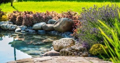 A backyard pond with clear water and multiple large rocks on the edge, surrounded by different plants and lush grass.