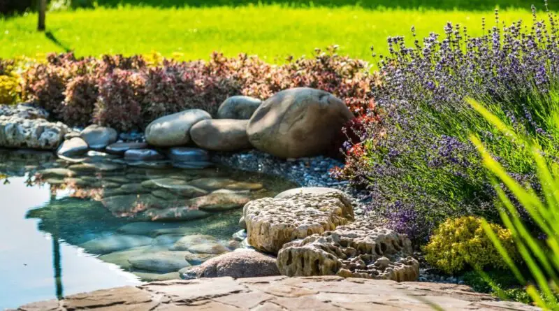A backyard pond with clear water and multiple large rocks on the edge, surrounded by different plants and lush grass.
