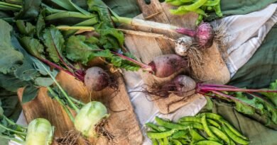 Aerial view of multiple vegetables with long roots covered in soil, lying on top of two wooden chopping boards.