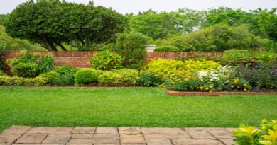 A residential backyard with a green lawn, a brick wall, and a garden with various bushes and flowers.