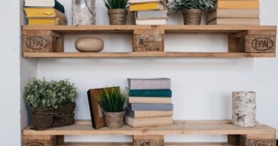 A set of two shelf bookcases against a white wall holding books and plants made out of old wooden pallets.