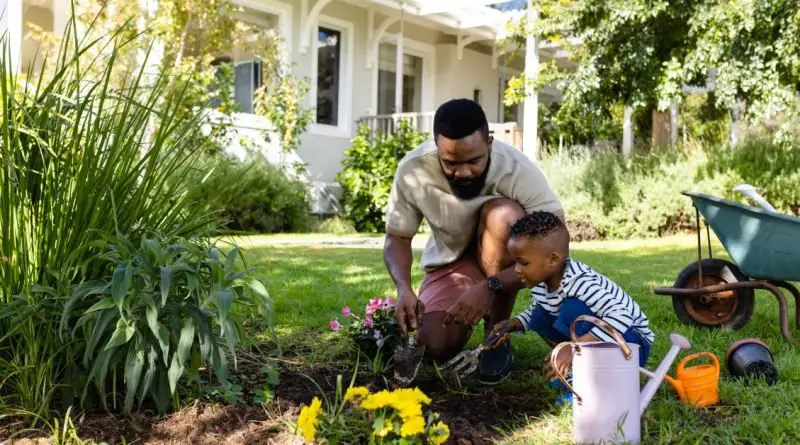 A man and a boy planting pink and yellow flowers in the home garden, next to a wheelbarrow and two water containers.