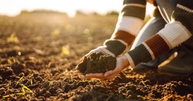 A gardener cups rich soil in their hands as warm sunlight glows across a freshly tilled field at harvest time.